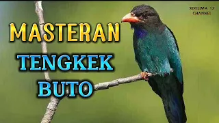 masteran tengkek buto suara jernih