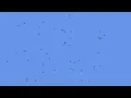 Flock Simulation