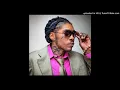 Vybz Kartel Wine Pon di Cocky