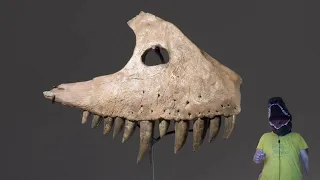 TERRIFYING Dinosaur Teeth