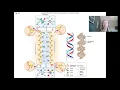 Microbiology Genetics Chapter 8 Part I