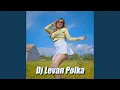 Download Lagu Dj Levan Polka - instr