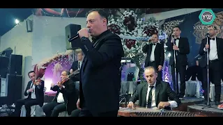 غزالة غزالة مصطفى هلال 