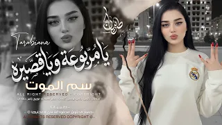 يا مربوعة ويا قصيره سم الموت بهل شفايف اغاني طرب استكنان تيك توك مطلوبه اكثر شيء دندنها