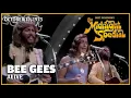 Download Lagu Alive - Bee Gees | The Midnight Special