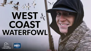 Inside California s Most Unexpected Waterfowl Hotspot DUTV 2025
