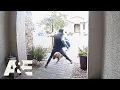 Download Lagu Delivery Driver Saves Homeowner \u0026 Dog from Pit Bull Attack | Neighborhood Wars | A\u0026E
