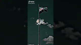 محمد الشيخ اغاني    دندنها