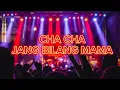Download Lagu CHA CHA JANG BILANG MAMA 🌴 PARTY 2024