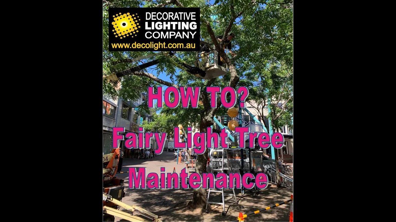 Decorative Lighting Company - Fairy Light Tree Maintenance Overview