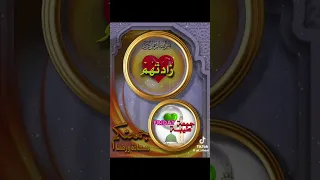                     دندنها