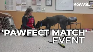 Oregon Humane Society hosts Pawfect Match event