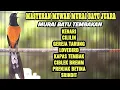 Lagu MASTERAN MURAI BATU PAGI SIANG SORE MALAM FULL TEMBAKAN MEWAH TERBAIK SEPANJANG MASA