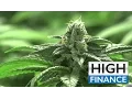 Marijuana News Terra Tech Opens Another Dispensary - Nectar Holdings Launch 6th Dispensary