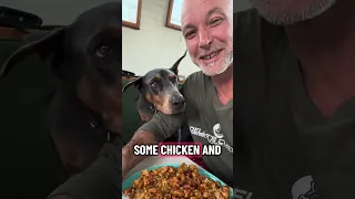 #fyp #dream #doberman #pets #youtube
