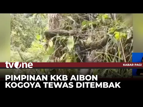 18 Anggota KKB Tewas pada Operasi Habema di Papua