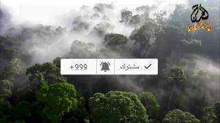 انشودة ممتازة بصوت ممتاز عبد الله المهداوي دندنها