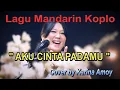 Download Lagu Mandarin Koplo -AKU CINTA PADAMU - cover Karina Amoy