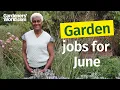What to do in your garden RIGHT NOW June edition