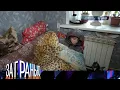 Download Lagu За гранью . Выпуск от 22.09.2025 - «Бездомная собственница» - За гранью 2025