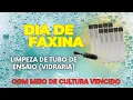 Download Lagu Faxina no laboratório: limpeza de tubo de ensaio com meio de cultura vencido