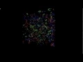 Computer Simulation of a Universe in with OpenGL