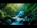Download Lagu Soothing Piano \u0026 Nature - Calming Birds \u0026 Water for Meditation