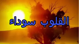 القلوب سوداء من مسلسل علامه استفهام   أحمد شيبه دندنها