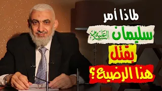 لماذا أمر سليمان عليه السلام بقتل هذا الرضيع 