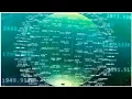 Boiler Bytes Integrative Data Science Initiative