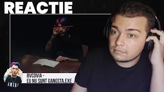 Download BVCOVIA - EU NU SUNT GANGSTA.exe | REACTIE | Ascultam si Ian si Azteca! MP3