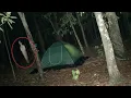 Lagu Horor, Terpantau cctv Penampakan Pocong Muncul saat Camping Sendirian di Hutan