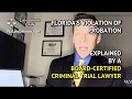 Florida Criminal Case - Violation of Probation