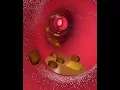 Download Lagu What Happens When You Drink? Alcohol's Journey Through Your Body 🍷 (3D Animation)