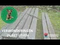 Download Lagu #102 intense Maand Juli - De Leeuwenpoort - Afronding en een nieuw BEGIN