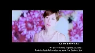 Download Della Ding - (手掌心) Heart of Palms lyrics (Pinyin/English/Chinese) MP3