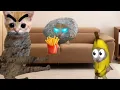 Download Lagu Baby Banana Cat Cry and Happy Videos Episode 63 😺💛