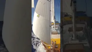 The beauty of Sailing ⛵️
