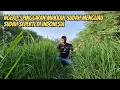 Download Lagu NGERI NGERI SEDAP !! GAK NYANGKA KALAU INI DI MAKKAH