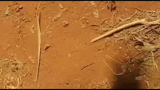nalibariki jina lako