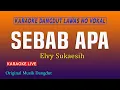 Download Lagu SEBAB APA -  KARAOKE DANGDUT ELVY SUKAESIH @VINOKORG