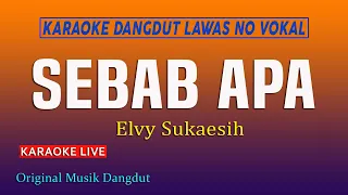 Download SEBAB APA -  KARAOKE DANGDUT ELVY SUKAESIH @VINOKORG MP3