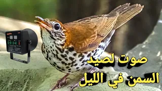 أقوى صوت لصيد السمن في الليل 2023 