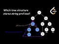 LeetCode Weekly Contest 390 Q4 Longest Common Suffix Queries HARD