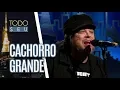 Download Lagu Musical com a banda Cachorro Grande - Todo Seu (14/09/18)