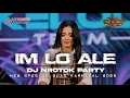 Download Lagu DJ IM LO ALE PARTY MIDDLE NROTOK COCOK BUAT KARNAVAL VIRAL TERBARU 2025