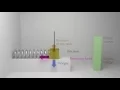 Animation of a damped harmonic oscillator physics mechanics