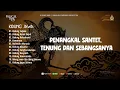 Download Lagu KIDUNG JAWA - PENANGKAL SANTET, TENUNG DAN SEBANGSANYA