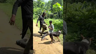 কি ঘটেছিল ছেলেটার সাথে?