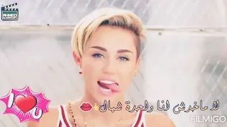 حالات واتس مهرجان   انا عيني علي التاتو    حسن شاكوش دندنها